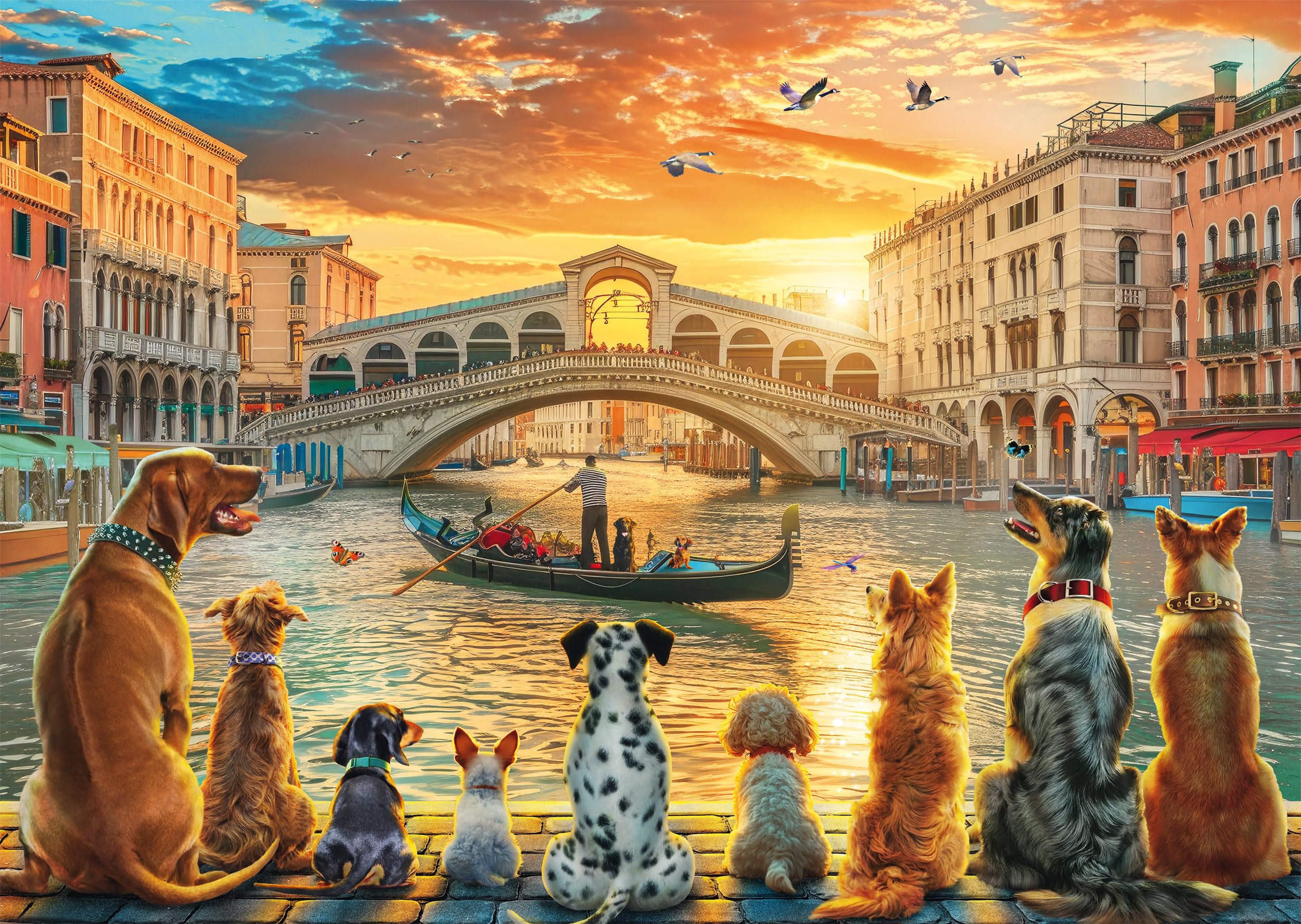 Schmidt | At the Pier | 1,000 Piece Jigsaw Puzzle | Age 14+