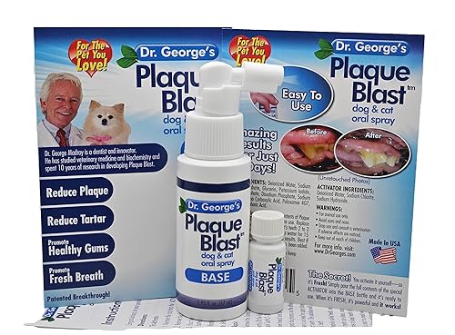 Explosión de placa del Dr. George