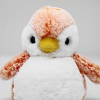 キタキツネ ぬいぐるみ AURORA 楽天市場】【ポイント2倍