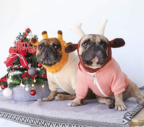 Miniatura 4 de iChoue Ropa de pug con capucha para perros, cachorros, bulldog francés, inglés, Boston Terrier, sudadera con capucha y pitbull, ropa para clima