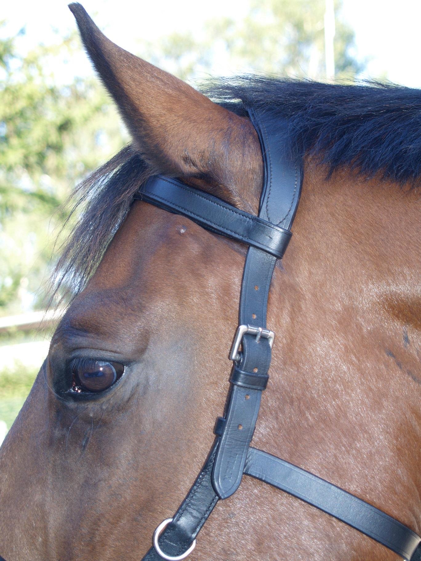 Kappzaum mit Gebiss Einhängung Minipony Minishetty Mini Shetty Pony VB WB Leder Schwarz Tysons (WB)
