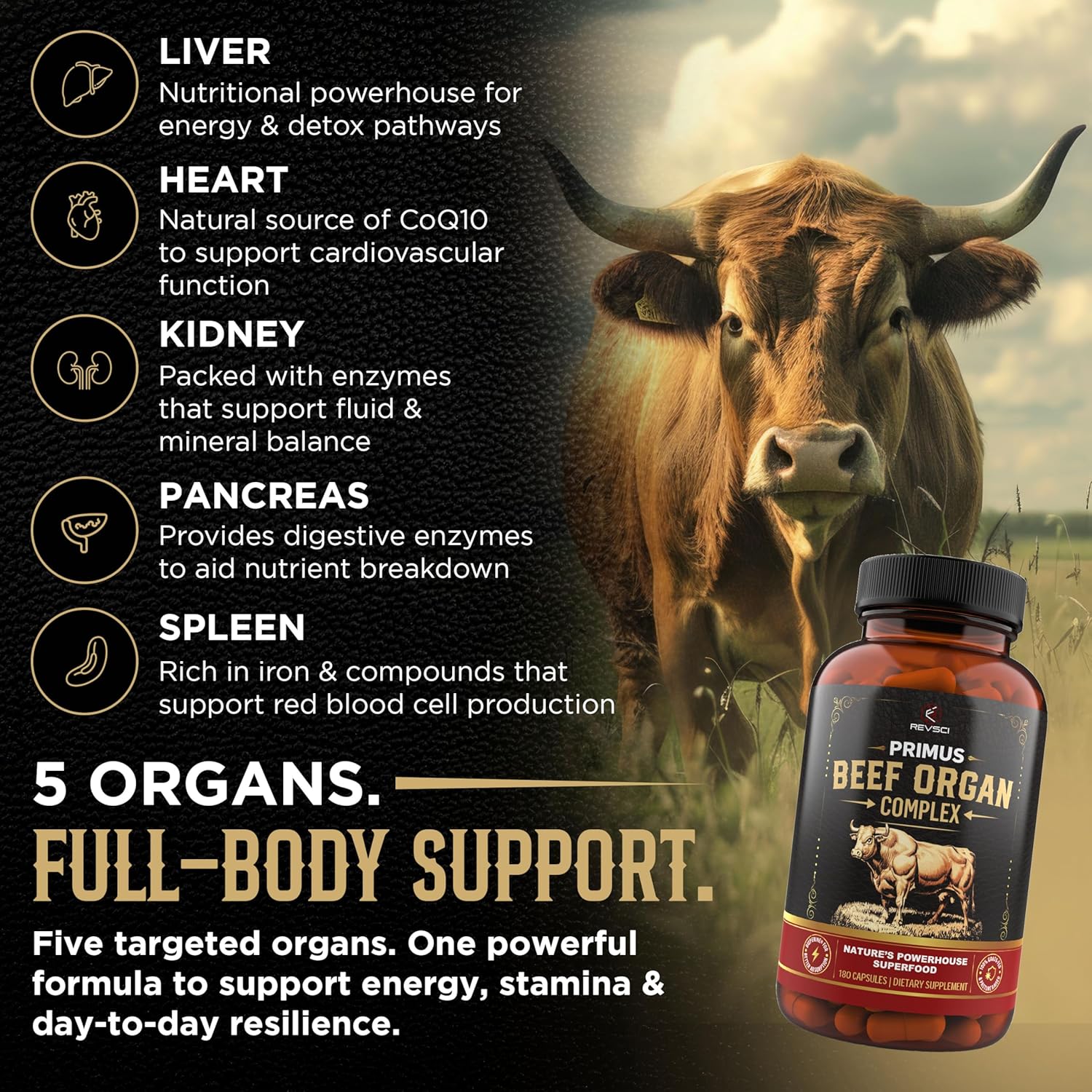 Grass Fed Beef Organ Supplement for Men & Women - PRIMUS Grassfed Beef Liver Capsules with Heart, Ancestral Blend 5 Organ Meat Supplements & BioPerine for Absorption, Vitality, Energy, 180 Pills - Image 3