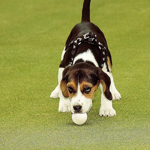 Miniatura 6 de Paquete de 40 pelotas de práctica de golf de espuma, sensación realista y bolas de entrenamiento de vuelo limitadas para interiores o exteriores