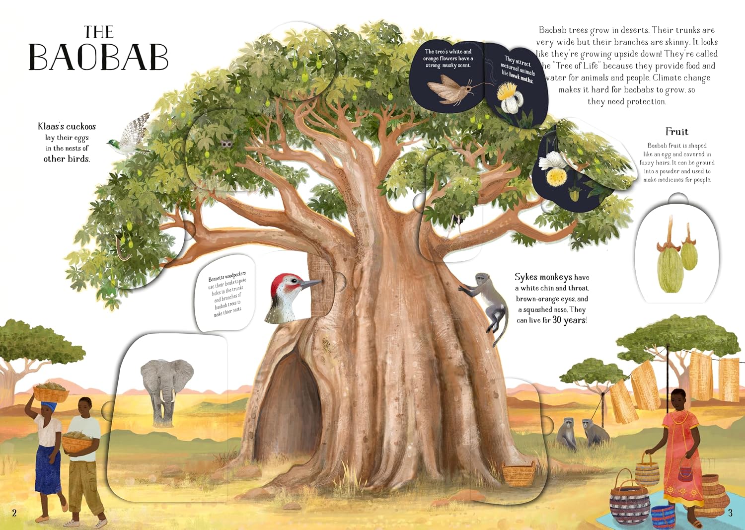 The Tree of Life: A lift-the-flap book about the amazing animals that live in trees around the world (Amazing Habitats)