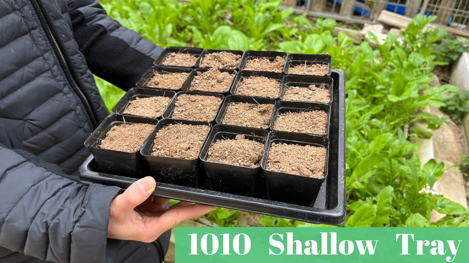 Amazon.com : ILITING Plant Growing Trays for Seedlings Microgreen