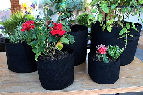 Miniatura 5 de Bolsa de cultivo de tela transpirable negra, contenedor inteligente para plantas hidropónicas, maceta aireada con asas (1 unidad, 5 galones)