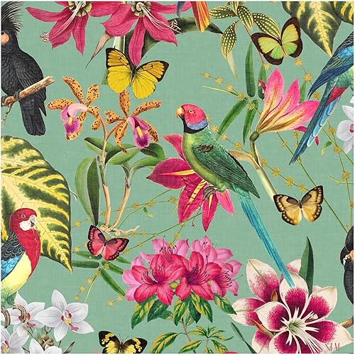 Envy Graham & Brown Paradiso Multi Removable Wallpaper, Green
