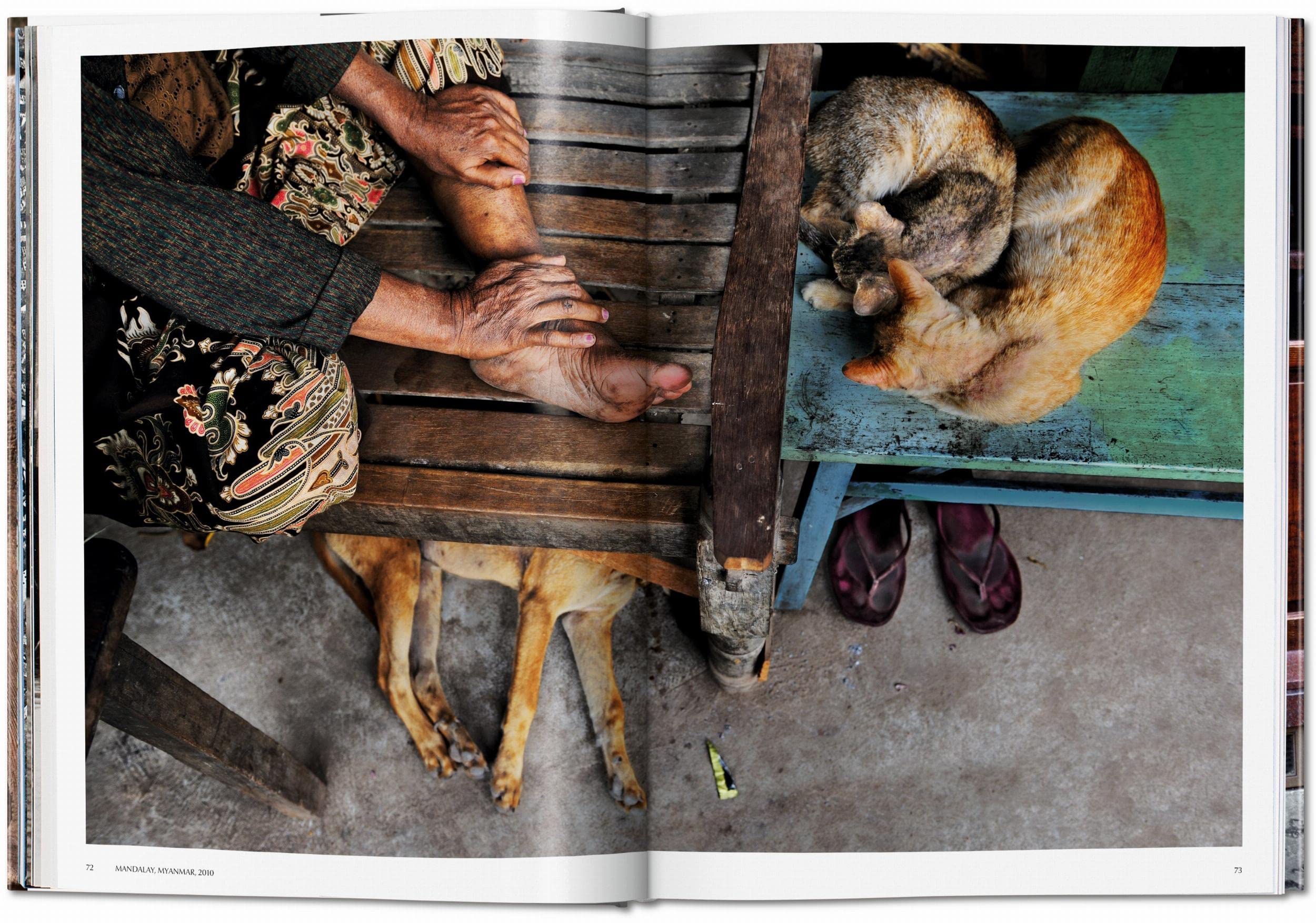 Steve McCurry. Animals: Mehrsprachige Ausgabe