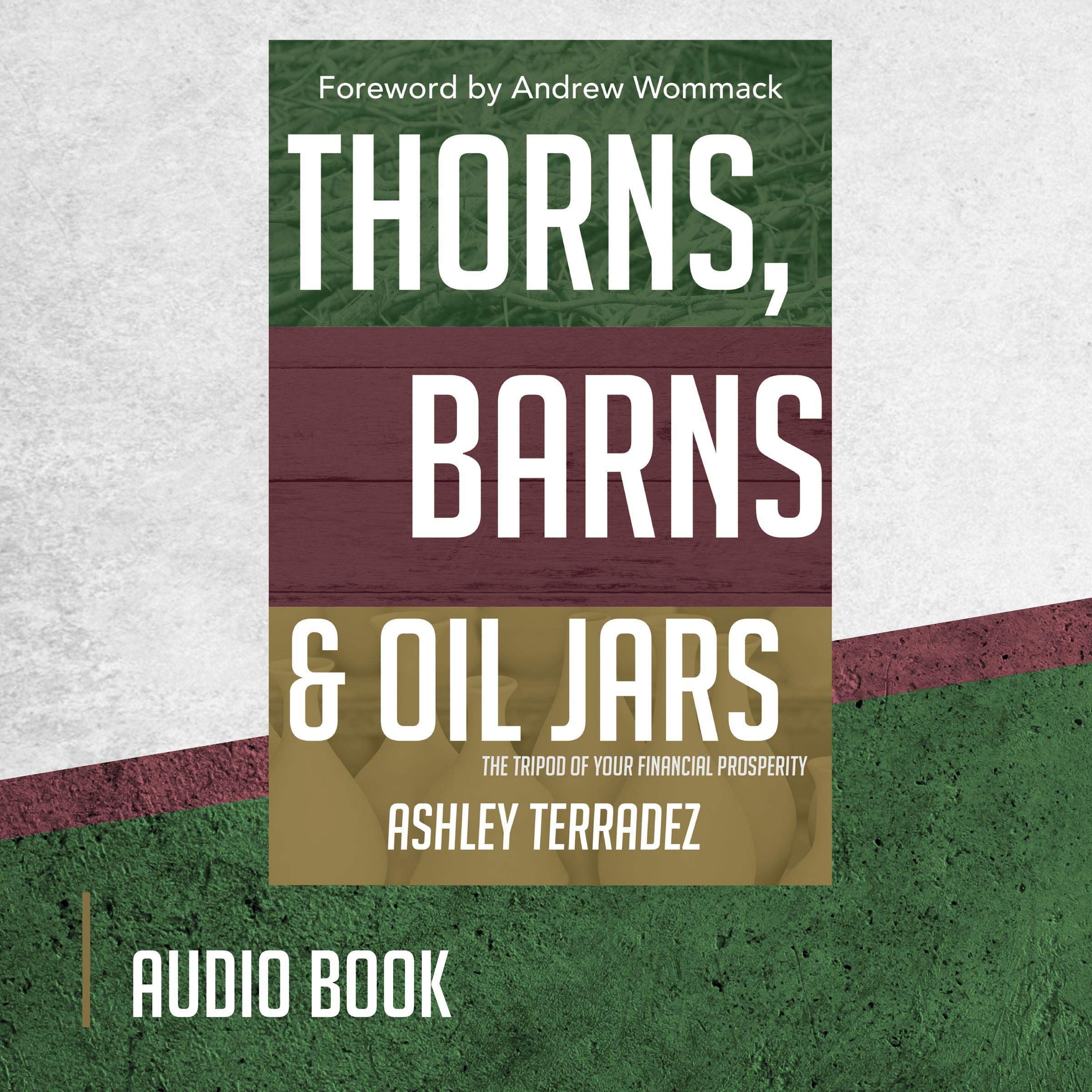 Cover art for Thorns, Barns and Oil Jars