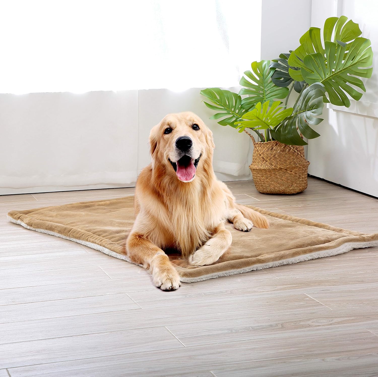 Reafort Homes for Pets Deluxe Dog Bed, Dog Mat, Dog Cushion (Sherpa and Flannel Reversible) (28"x42", Taupe/White)