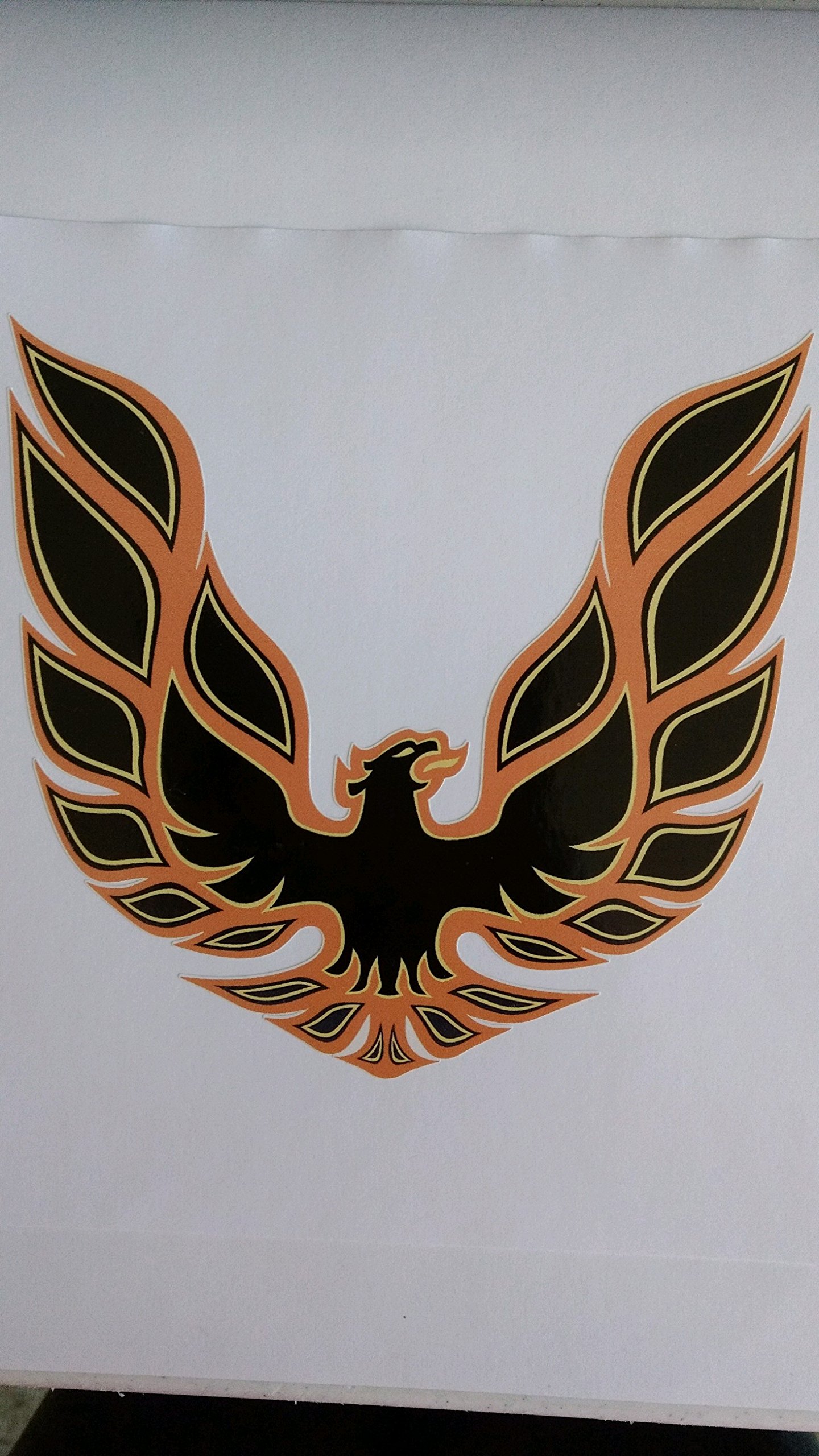 Decal Heaven TA Firebird Gold