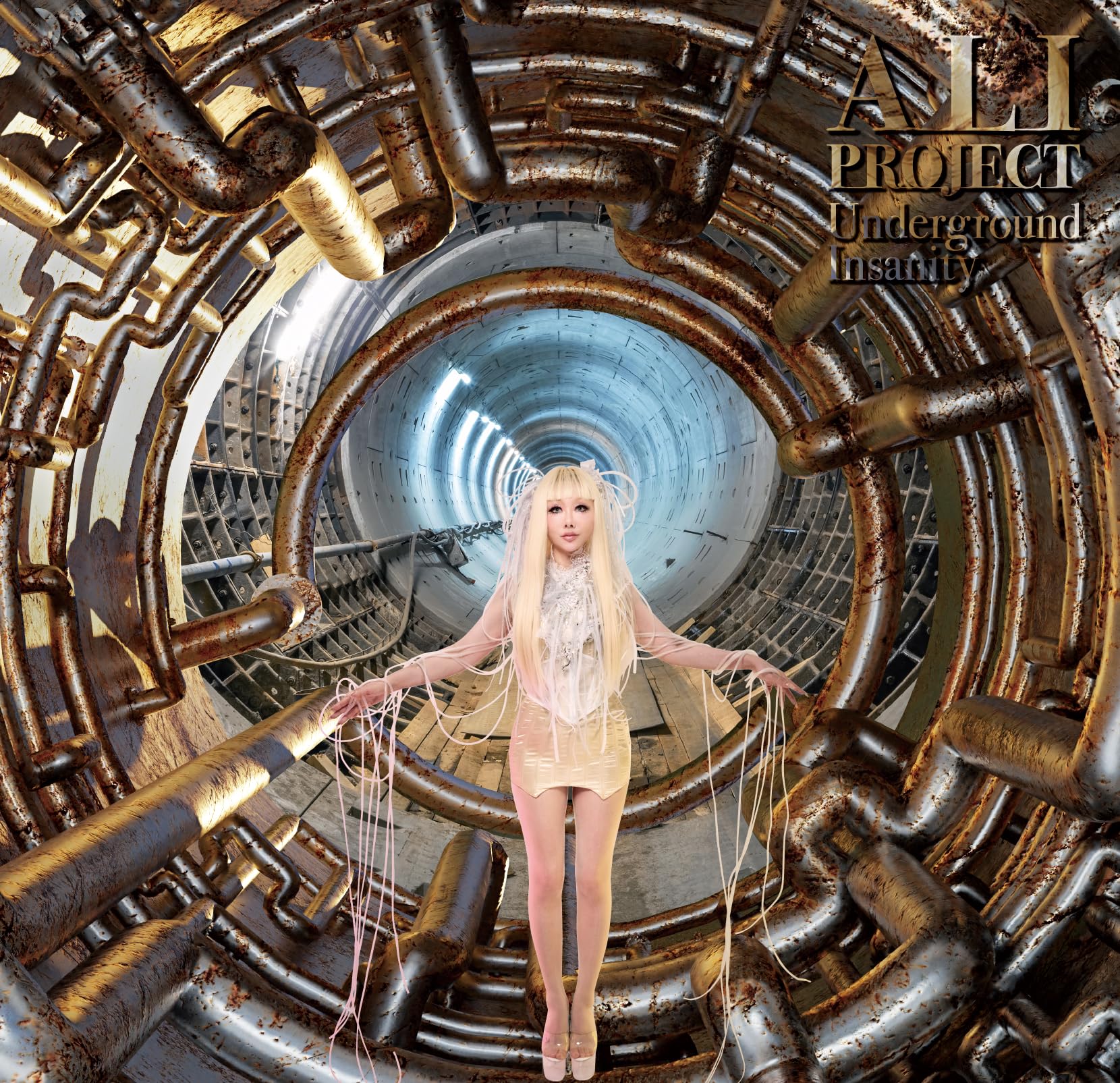 ALI PROJECT★Psychedelic insanity★アルバム★CD Amazon.co.jp: Psychedelic Insanity - ALI PROJECT: Music