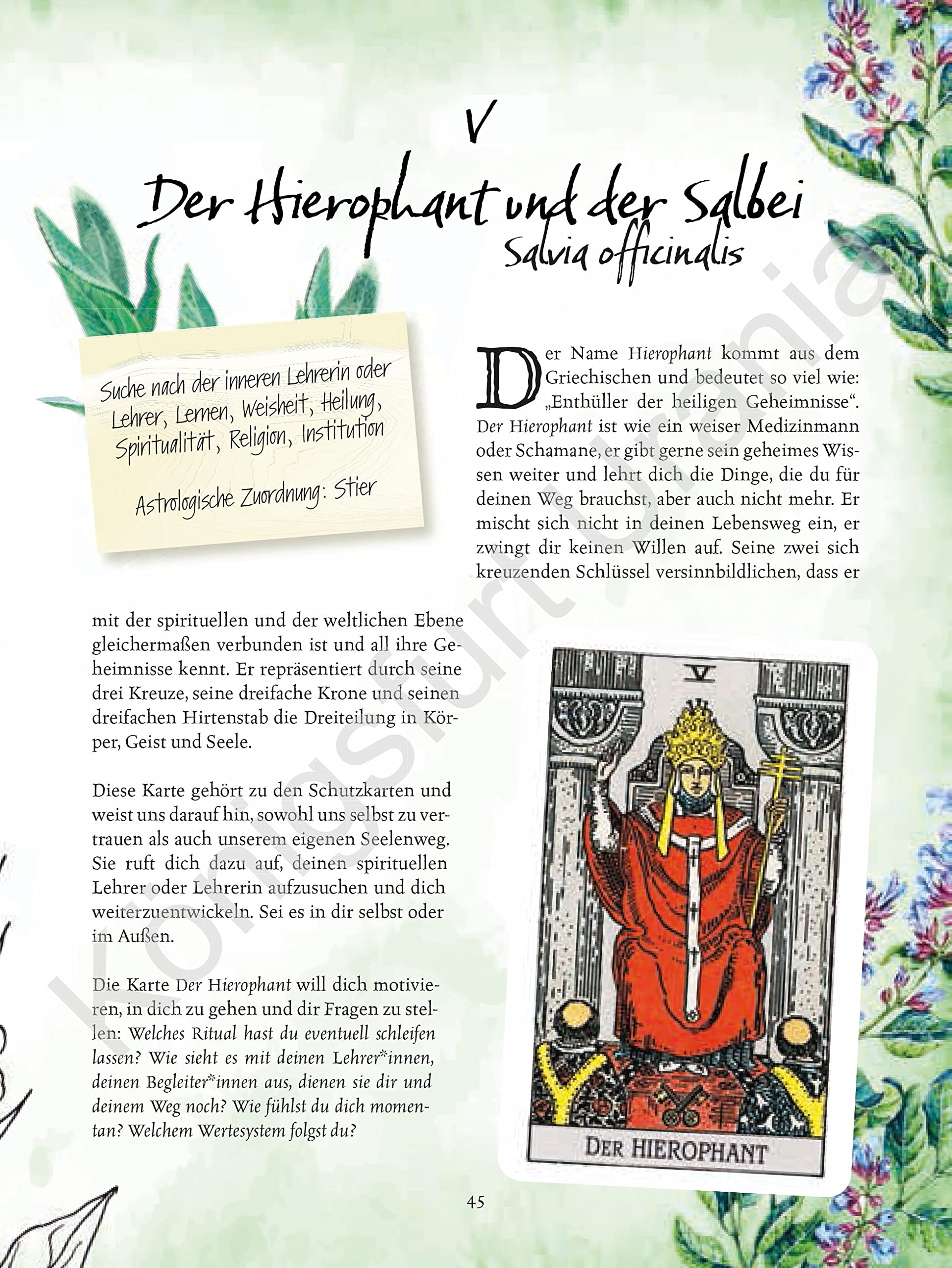 Tarot & Grüne Magie: Werde eine Green Witch mit Tarotkarten (Tarotbuch für moderne, grüne Hexen)