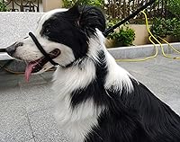 Vista 10 de Multifuncional Figura 8 Cabeza acolchada Cabestro Caminar Entrenamiento Tapón de cuero Cuerda Deslizamiento Perro Correa Bozal (Gris)