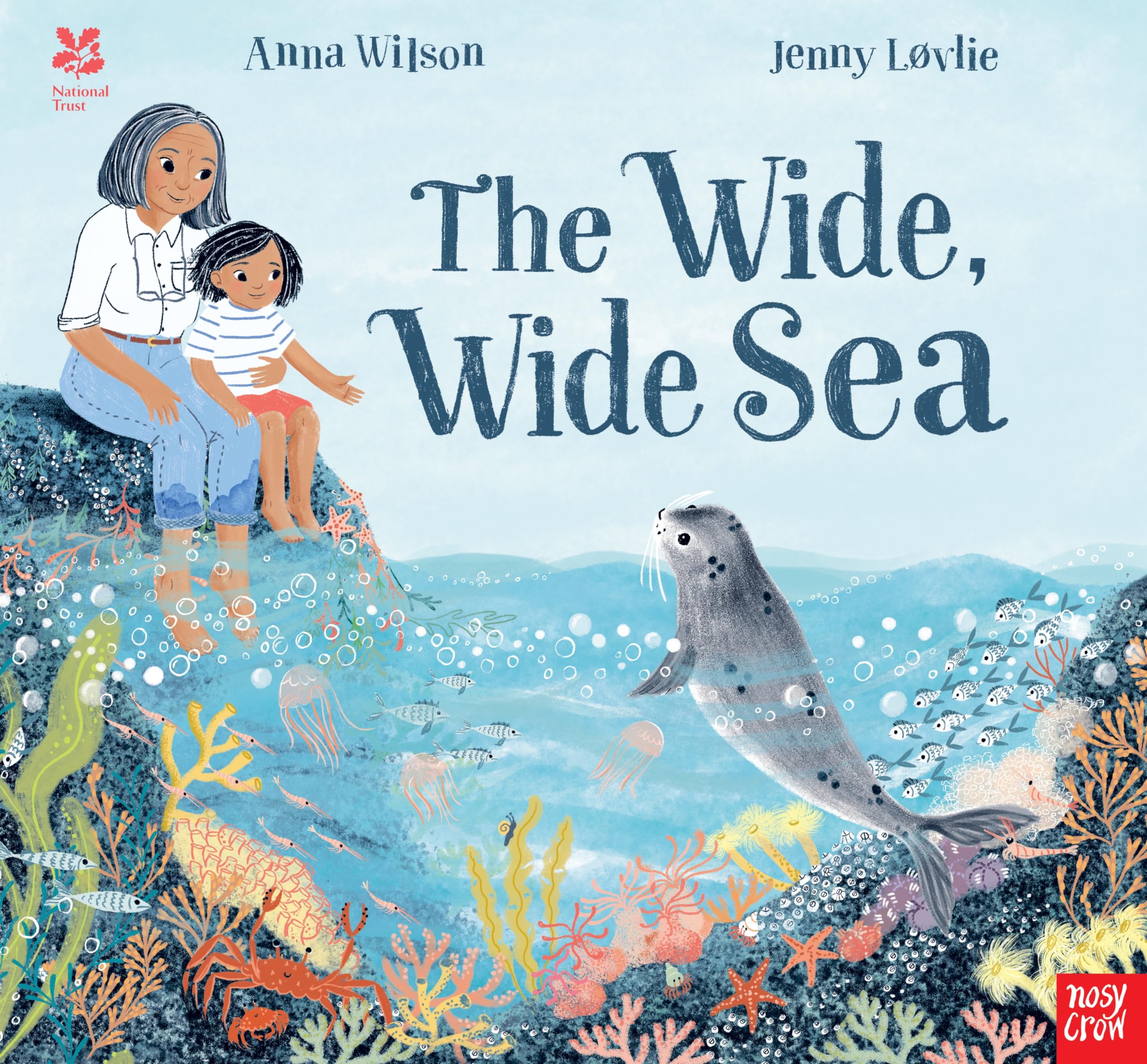 National Trust: The Wide, Wide Sea by Anna Wilson (Paperback Book)