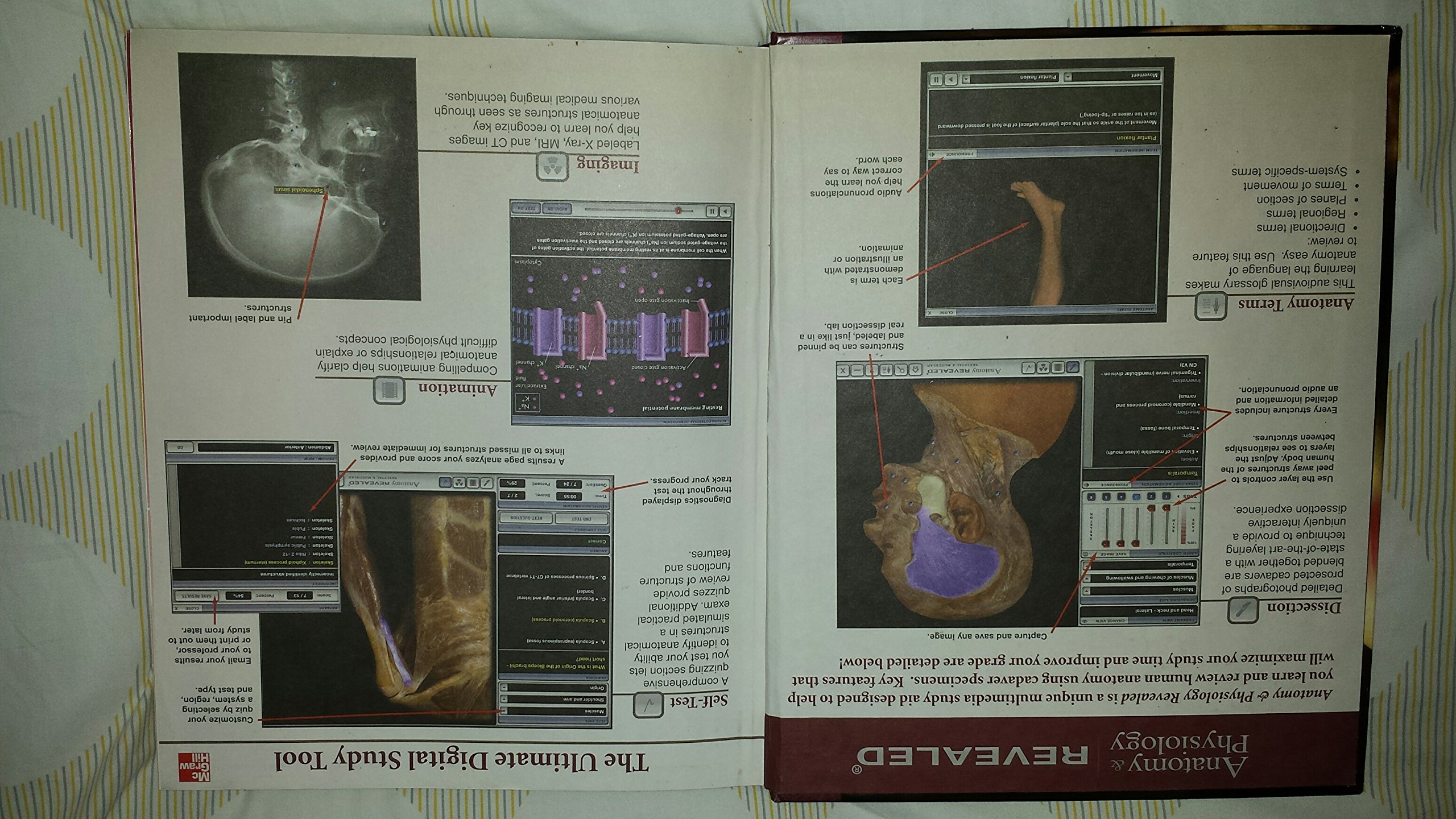 Anatomy & Physiology: The Unity of Form and Function - Image 3