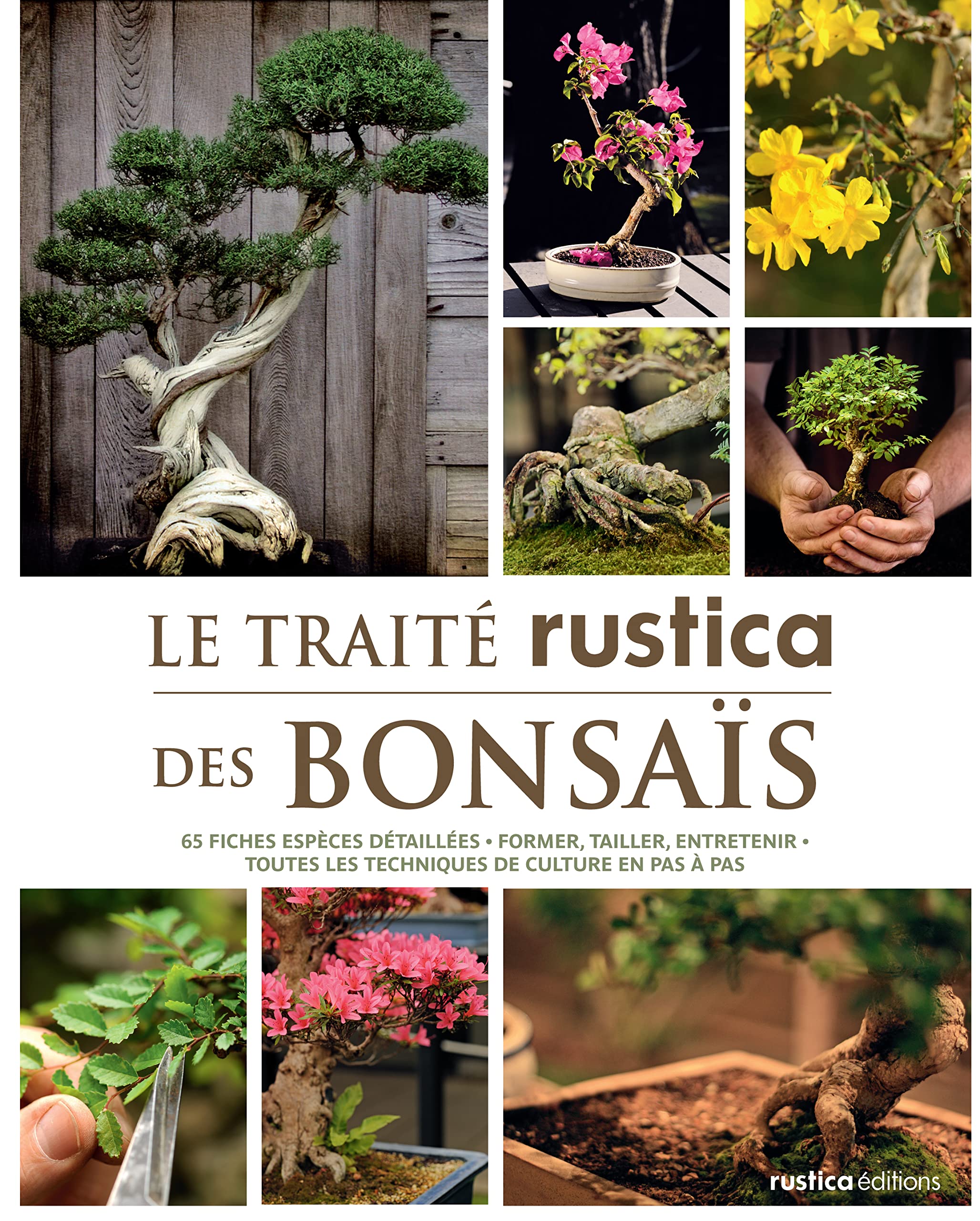 Le traité Rustica des bonsaïs: 65 fiches-espèces détaillées - Former, tailler, entretenir - Toutes les techniques de culture en pas