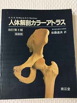 917fP-Rr8kL._AC_UF350,