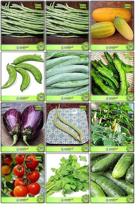 Creative Farmer Season Seeds Combo Vegetable Seeds : Cowpea (Vj), Cowpea (Anaswara), Cucumber Sambar, Dolichus Beans (Grace), Snakegourd, Winged Bean(Revathy), Brinjal and Others -5 Packs