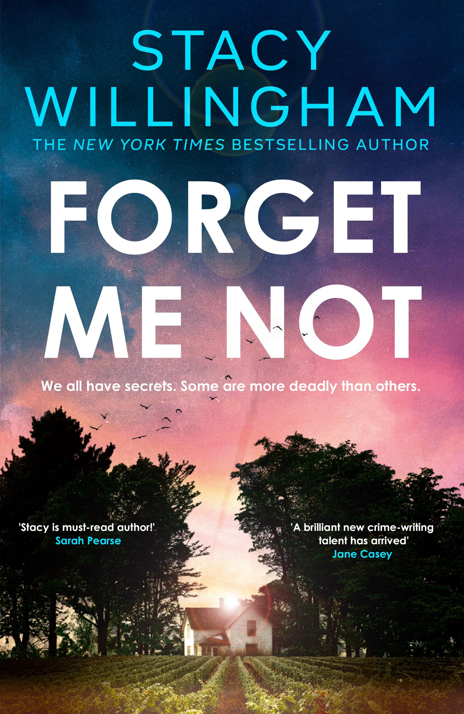 Forget Me Not: The gripping new thriller you don’t want to miss about family secrets