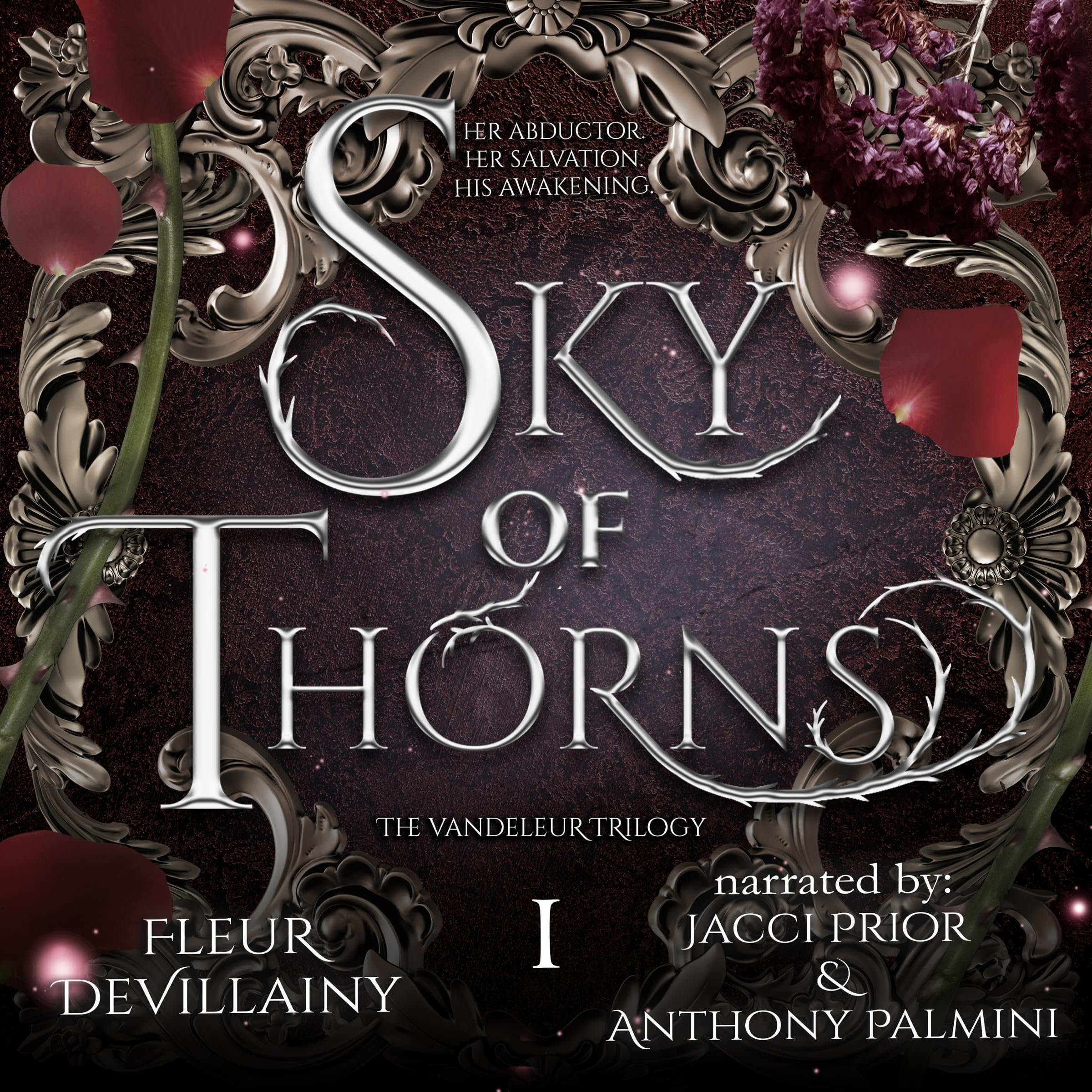 Cover art for Sky of Thorns