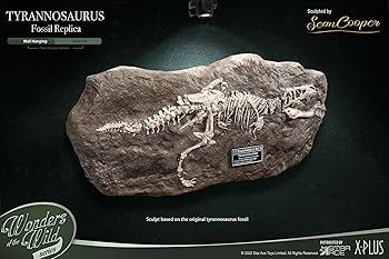 ワンダーズ オブ ザ ワイルド / エラスモテリウム / スターエーストイズ ワンダーズ オブ ザ ワイルド / エラスモテリウム / スターエース