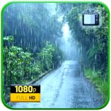 Verdant Paradise - Lush Tropical Rainforest Sanctuary Screensaver