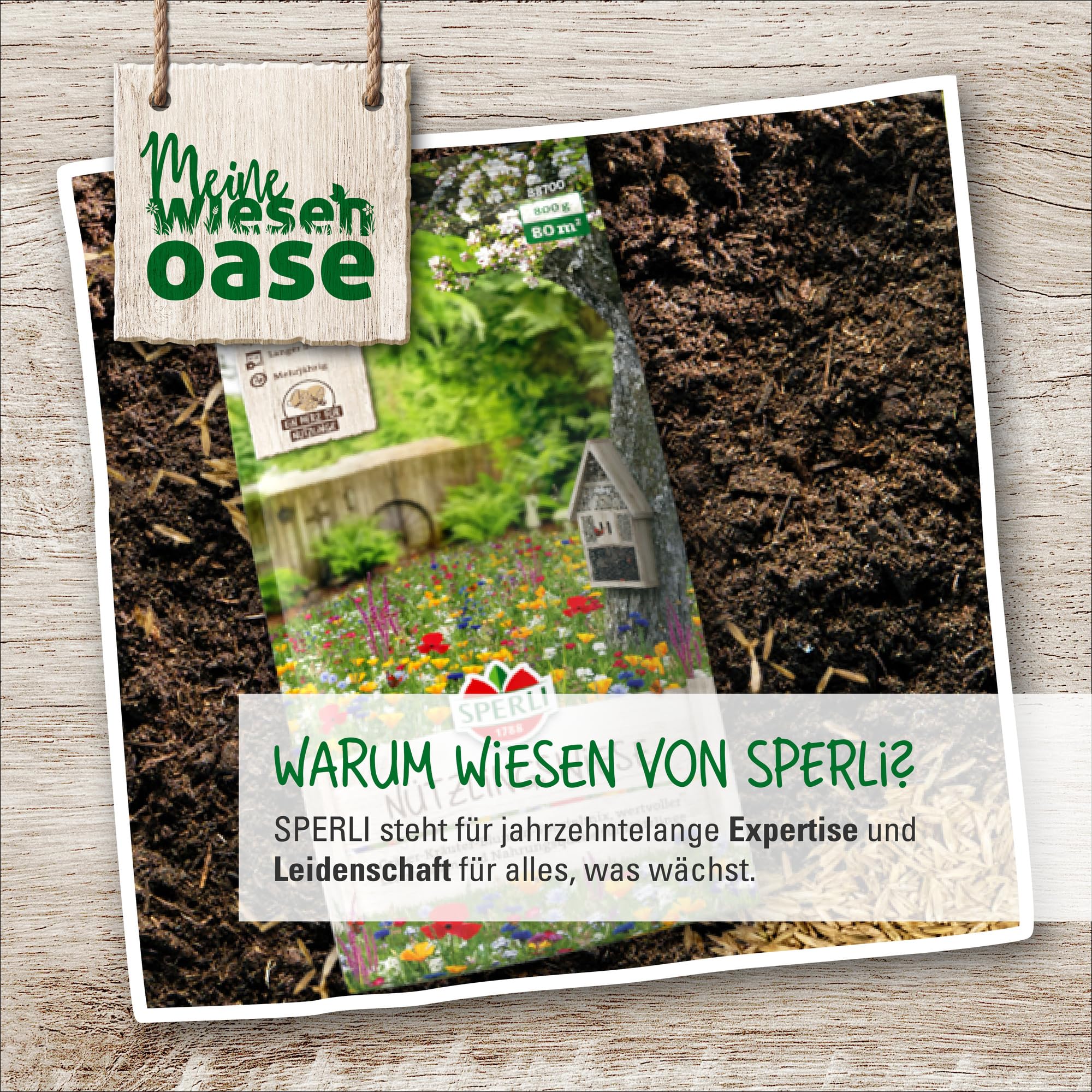 Foglio A6 In Carta Riciclata Con Semi Di Fiori Selvatici - GZ230310121 - Foto 3