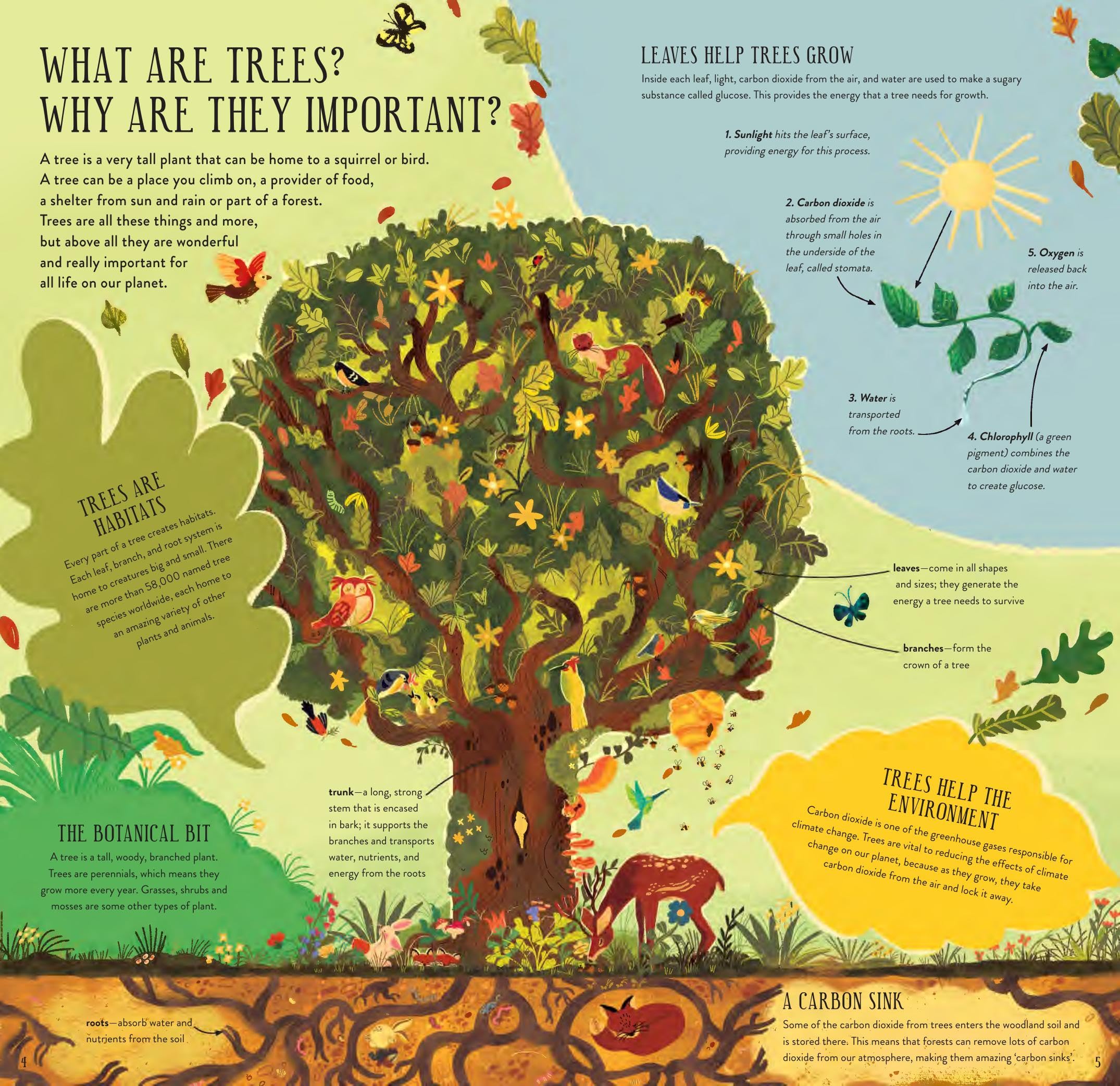 Make and Play: Build A Tree: Build a 30cm Oak Tree! Includes a 32-page Book and 40+ Model Pieces