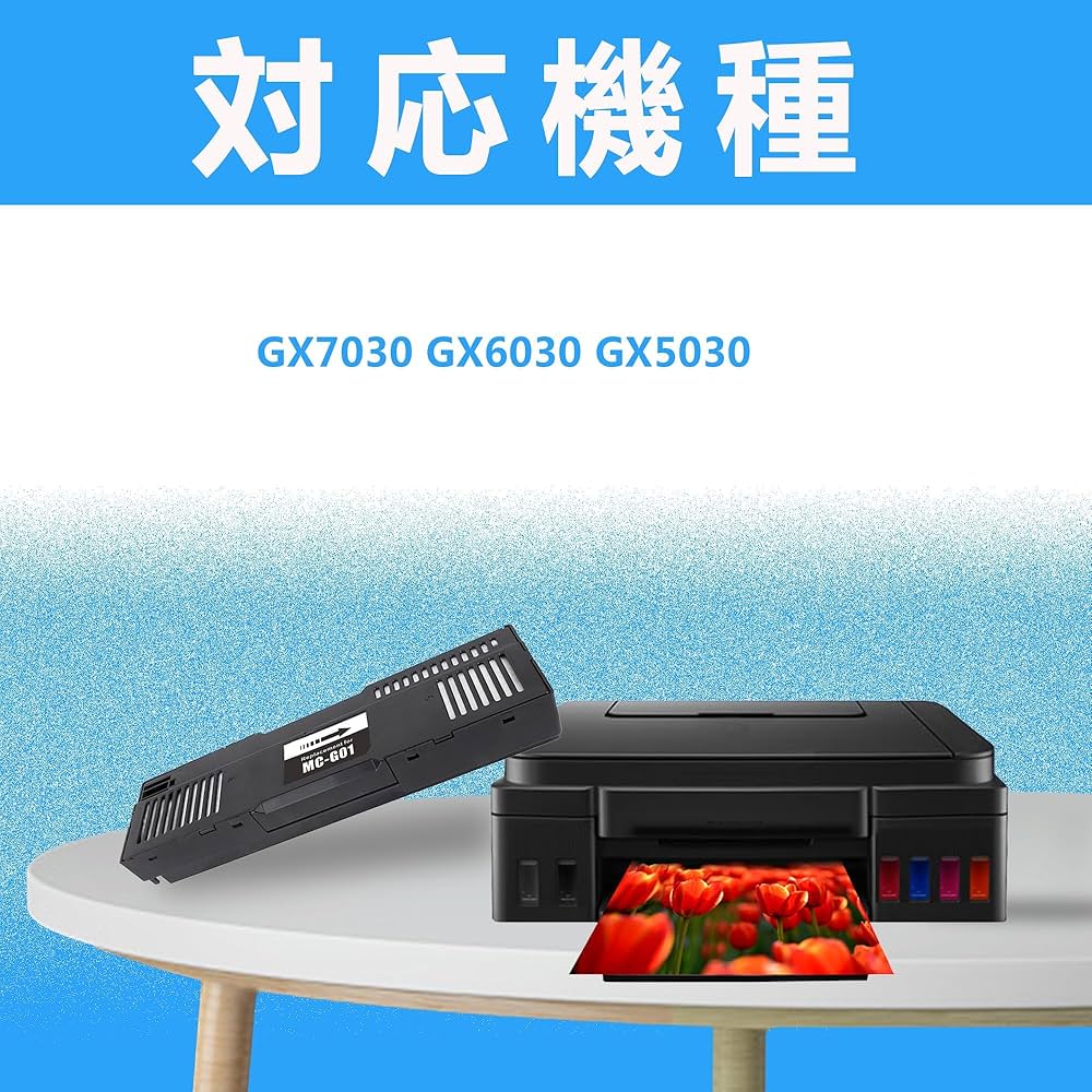 Canon MC-G01 メンテナンスカートリッジとインクボトルセット