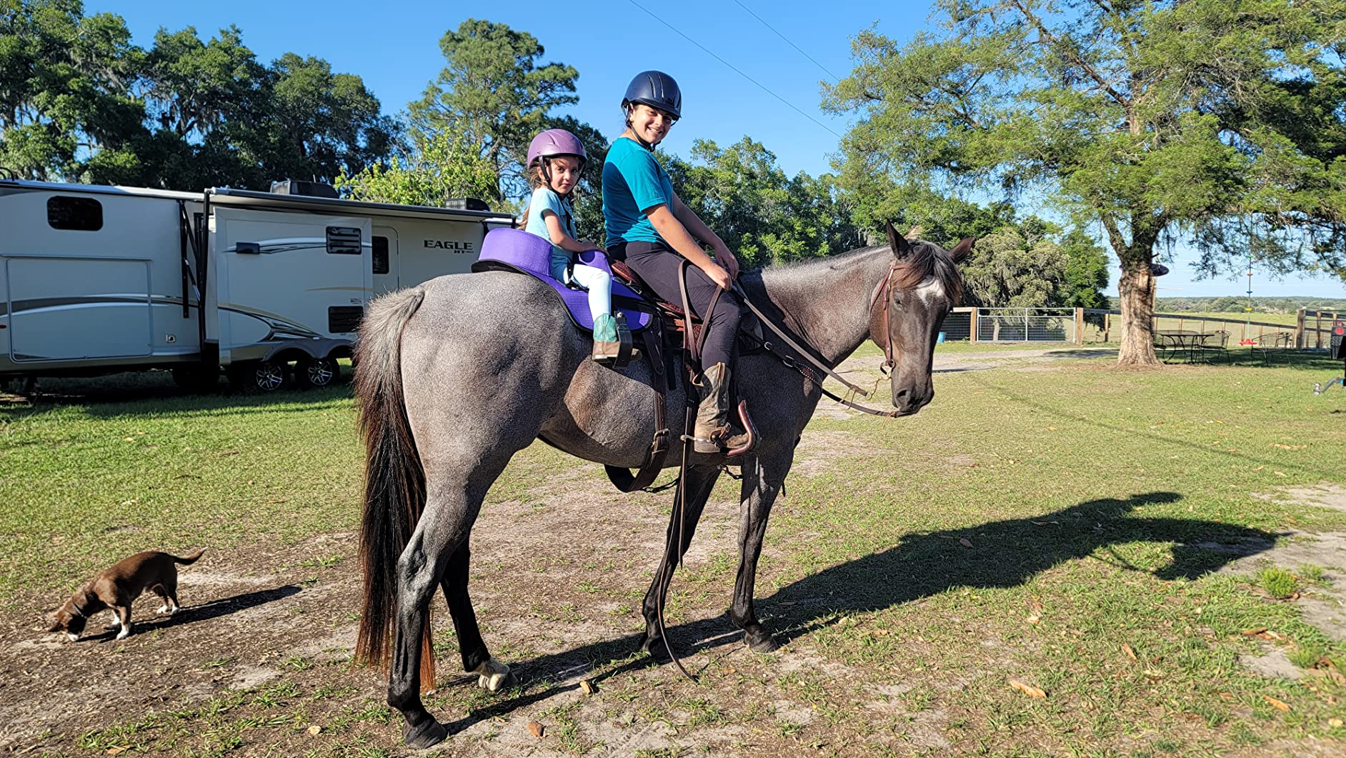 15/mo Finance HILASON Western Horse Saddle Buddy Seat for Kids