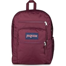 JanSport Laptop Backpack - Computer Bag with 2 Compartments, Ergonomic Shoulder Straps, 15 Laptop Sleeve, Haul Handle - Cherry Lacquer