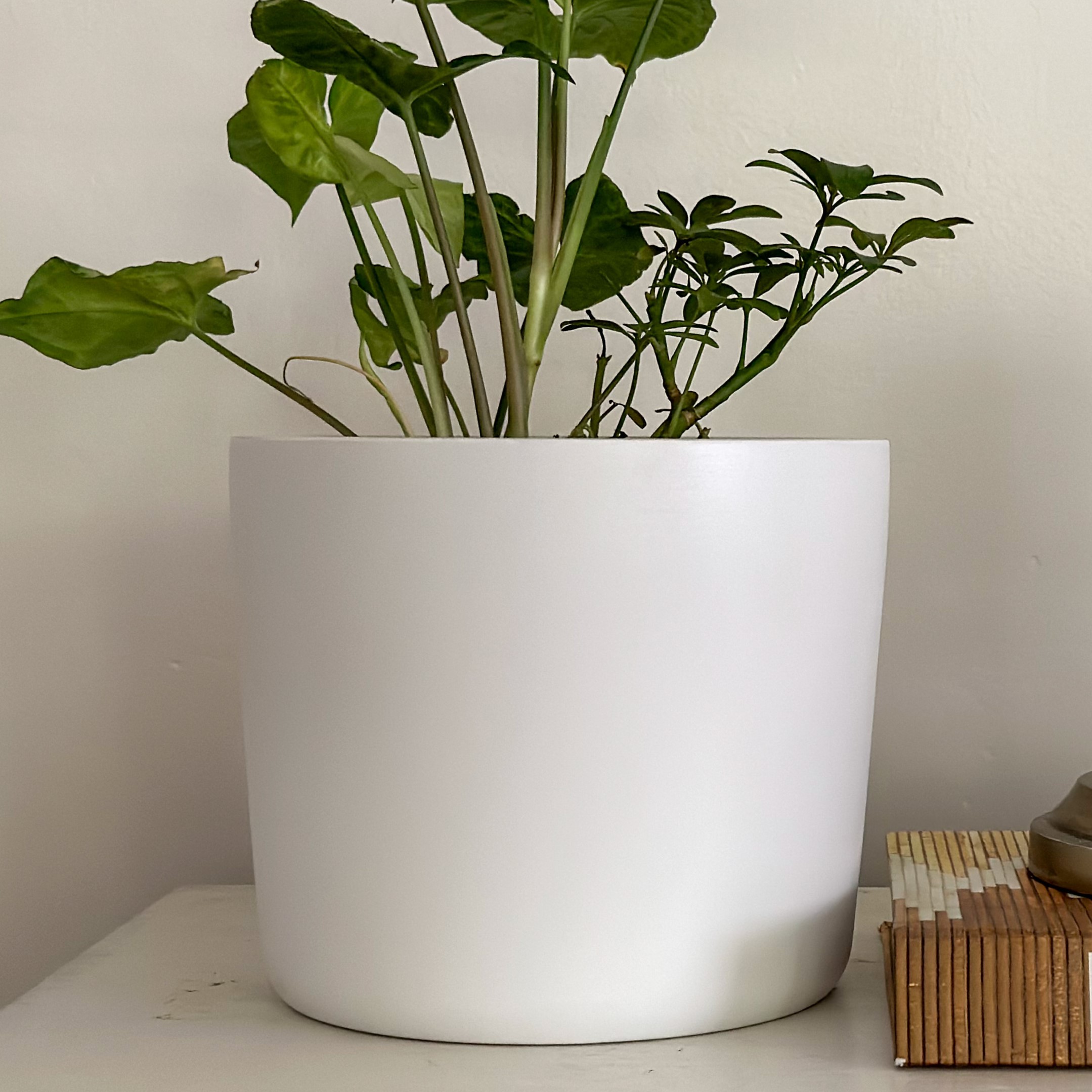 Amazon.com: Willowy Matte White 9 Inch Ceramic Planter - Indoor 