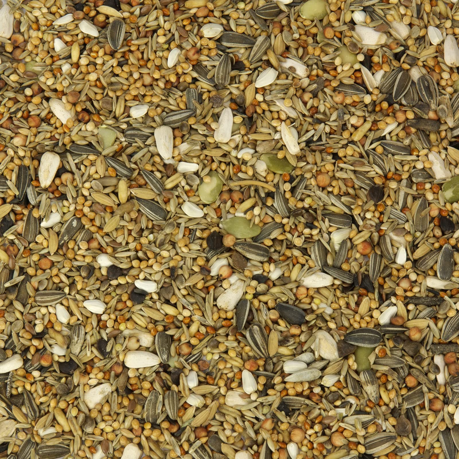 Großsittich-Fit, Futter für Großsittiche mit Grassamen 25 kg