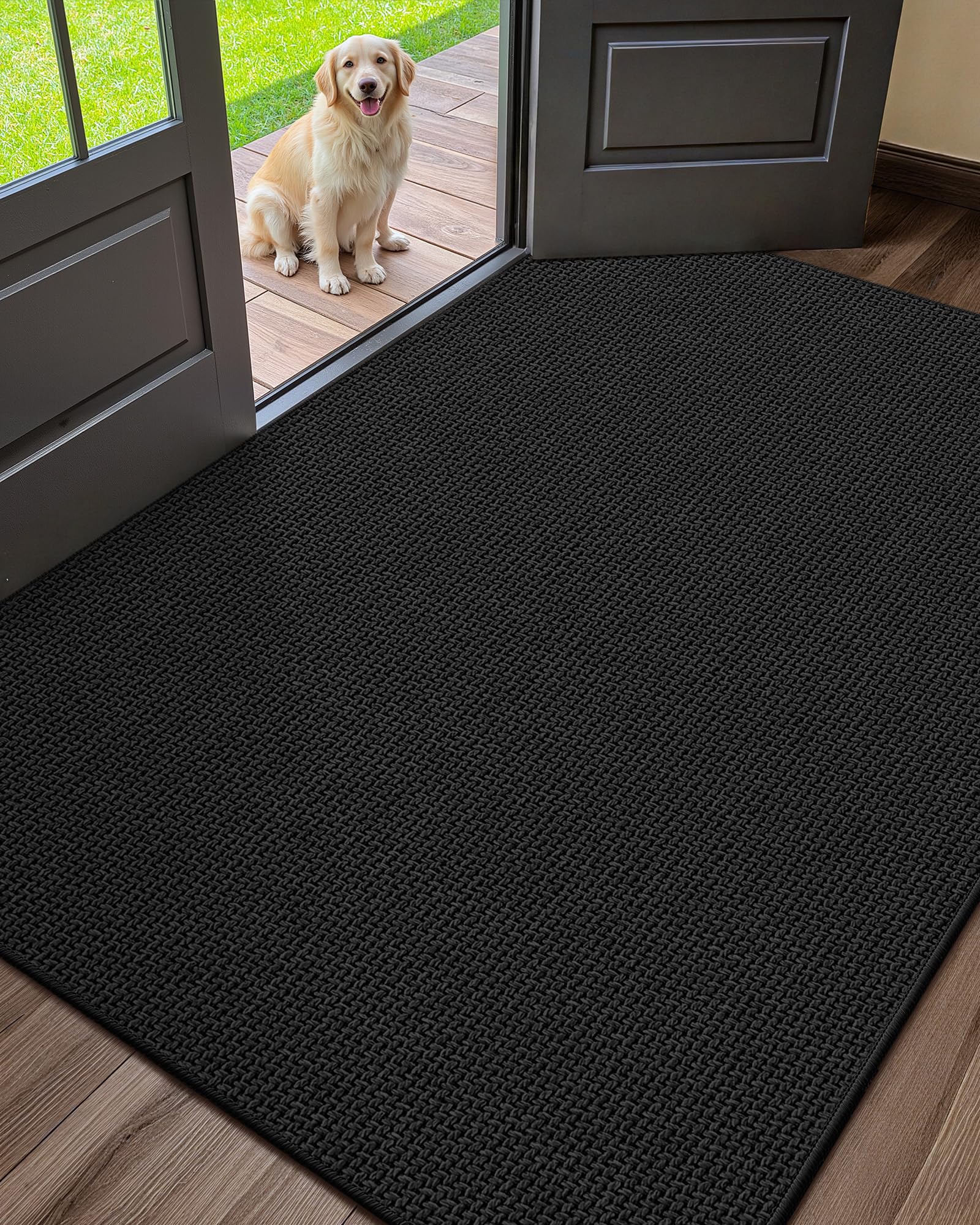 Color&Geometry Large Thin Front Door Mat Indoor Entrance Non Slip Rubber Backed, 32"x48" Indoor Door Mats for Entryway, Dirt Trapper Double Doormat,