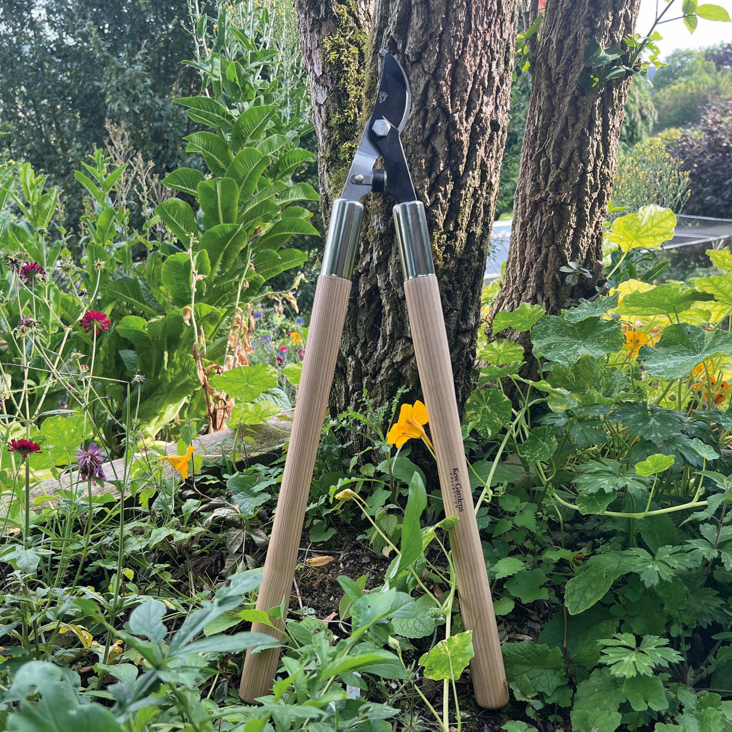 Spear & Jackson CUTSETKEW Kew Gardens Woodland 3 Piezas – Tijeras Bypass, Tijeras para Setos y Podadora Bypass – Hojas de Acero al Carbono, Mangos de Madera FSC