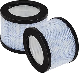 EP1080 True HEPA Replacement Filter, Compatible with Intelabe EP1080 Air Purifier, AROEVE and Kloudi Air Purifier DH-JH01 and Elechomes EPI081/EP1081, Compare to DH-JH01 Filter, 2 Pack