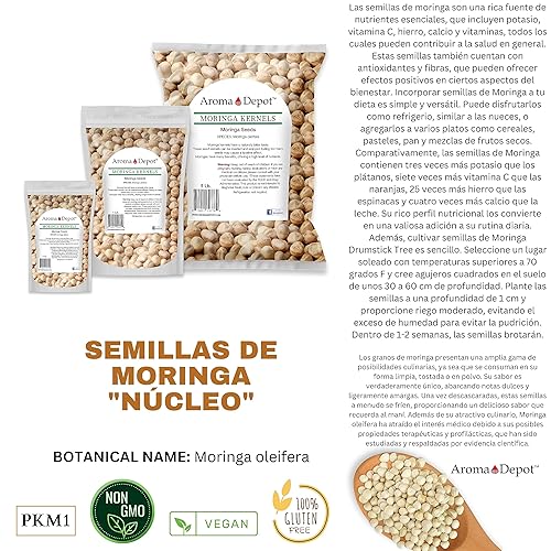 Miniatura 5 de Semillas de moringa de 1 libra KERNEL Shelled Clean 100% Natural, Superalimento crudo nutricional, rico en vitaminas, semillas comestibles,
