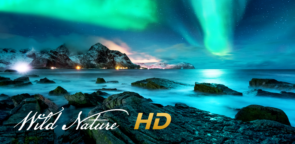 Nature Loading Screen Wild Nature HD - Beautiful nature screens collection:Amazon.com ...