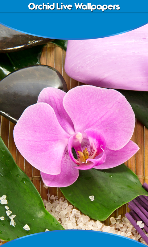 Orchid Live Wallpapers - App on Amazon Appstore