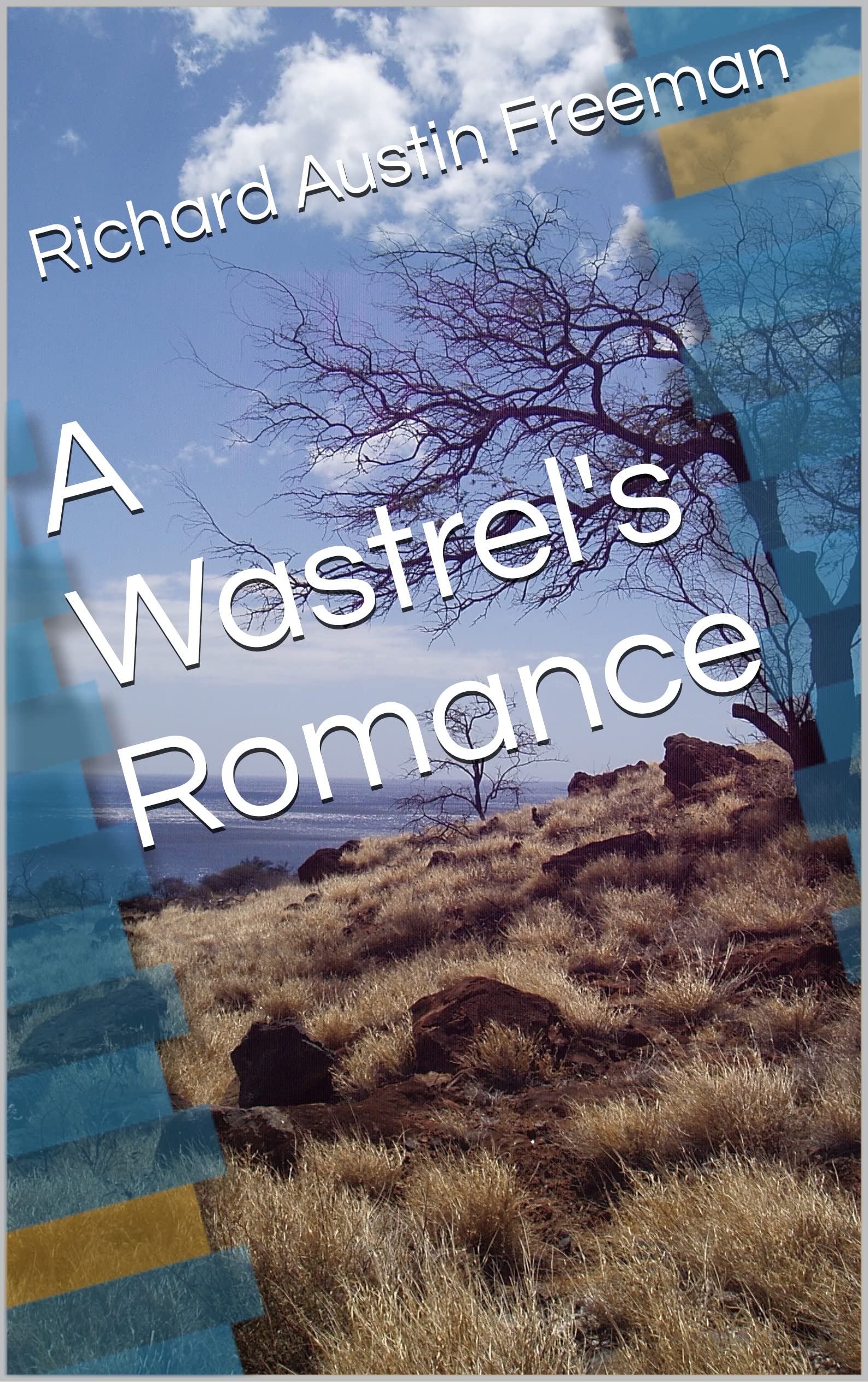 A Wastrel's Romance (English Edition)