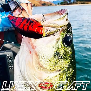 Lucky2まとめ売り Amazon | ラッキークラフトUSA(LUCKY CRAFT)FAT CB BDS マジック