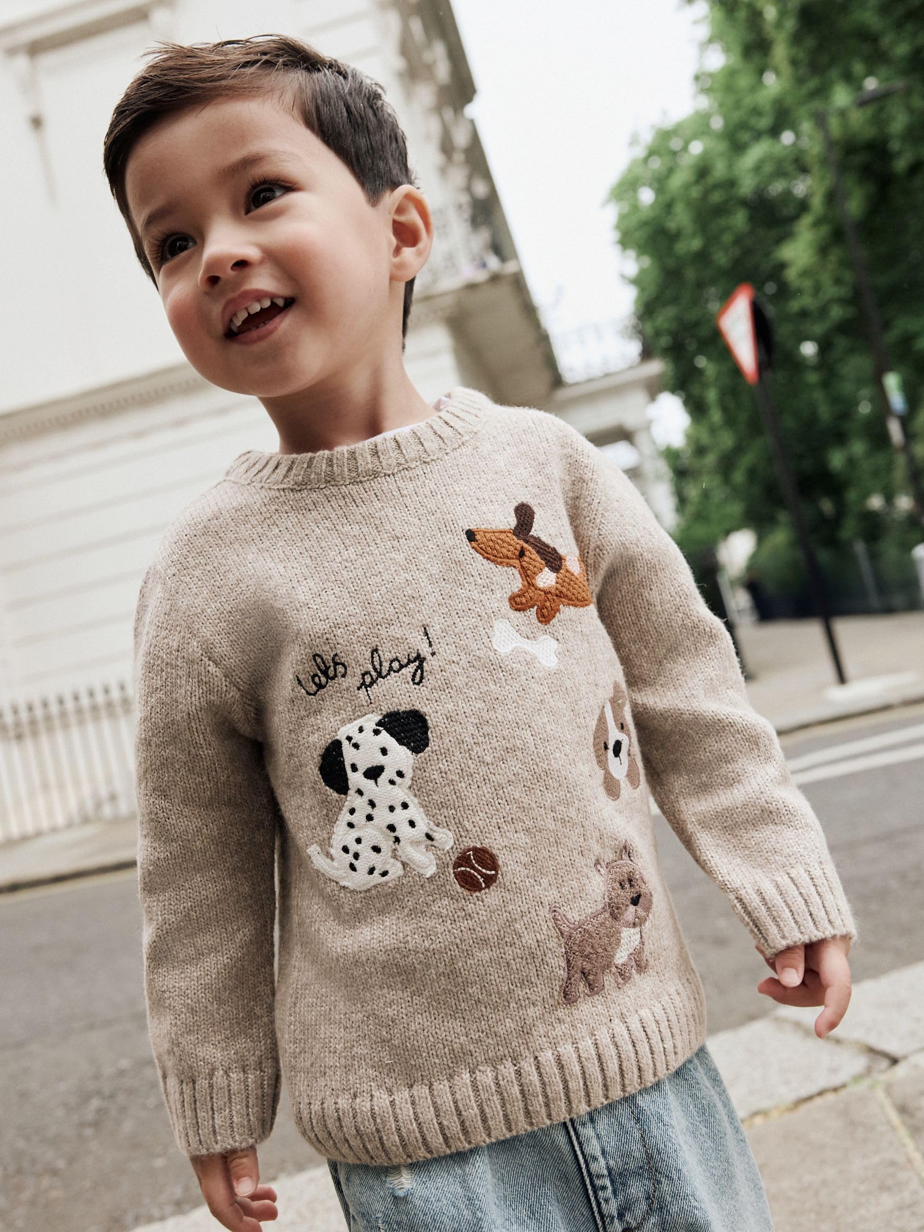 NEXT Jungen Gestrickter Rundhalspullover 62-122