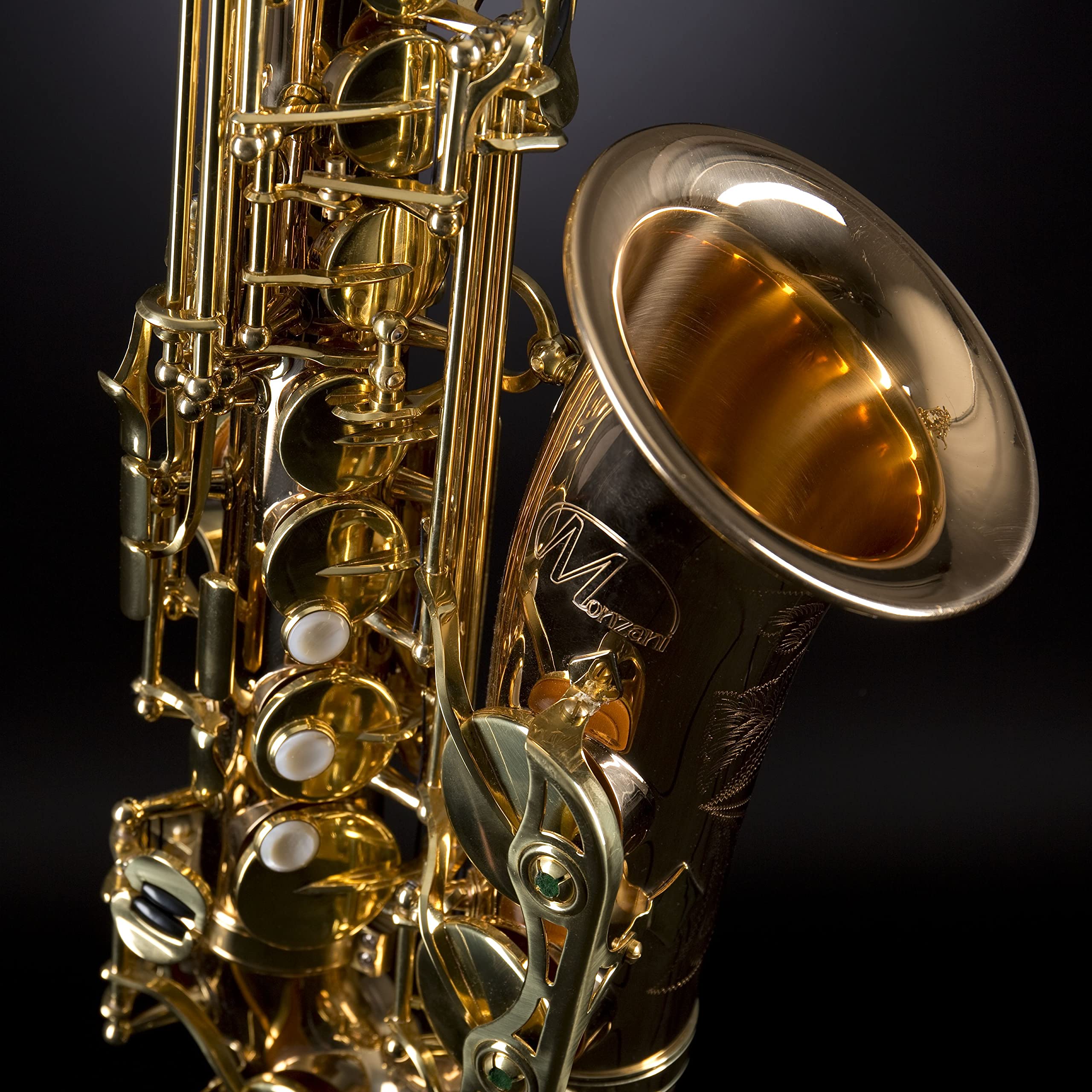 Monzani MZAS-533 II GM Alt Sax - Saxophone Alto