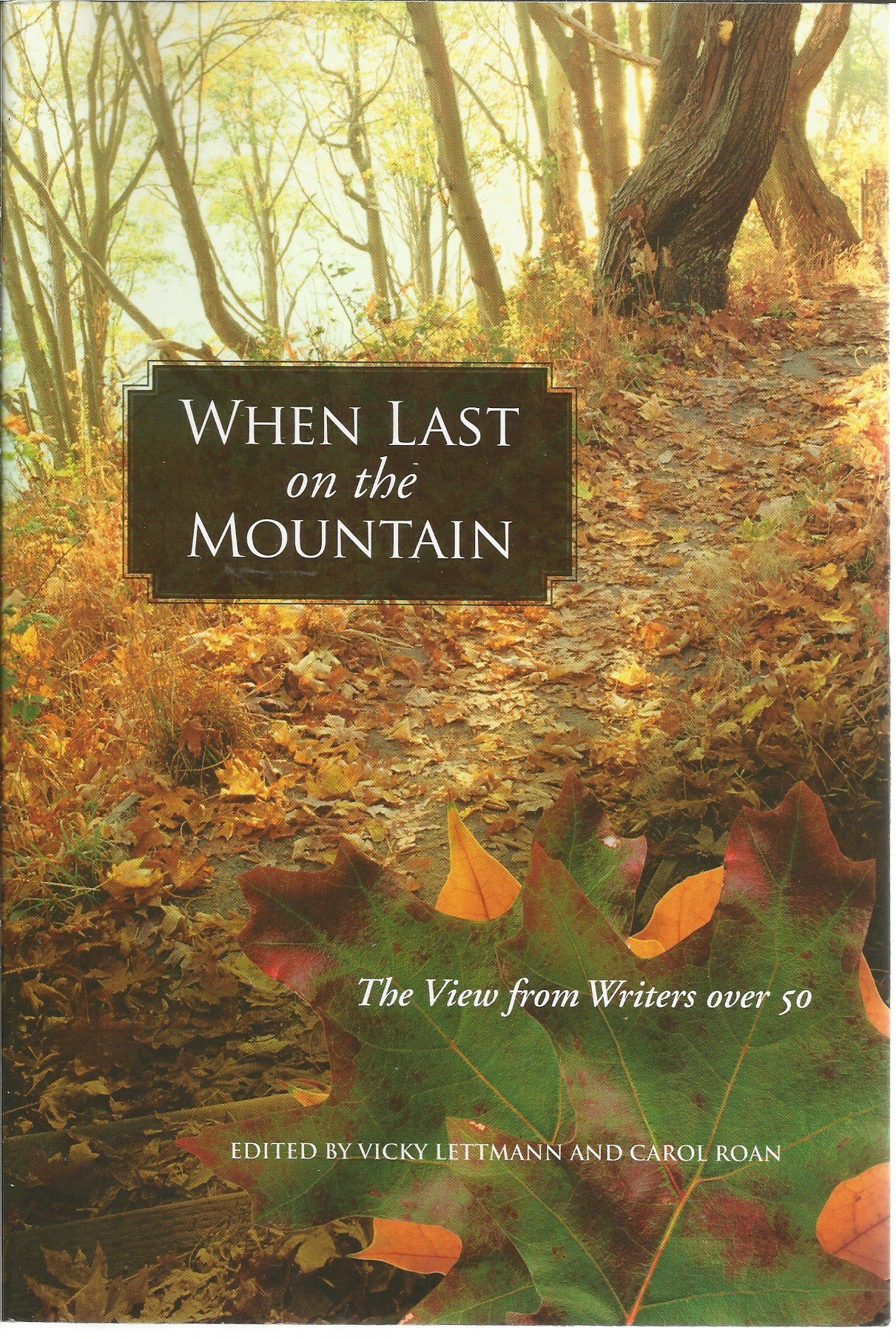 Buy When Last on the Mountain: The View from Writers over 50 — BookShops.in