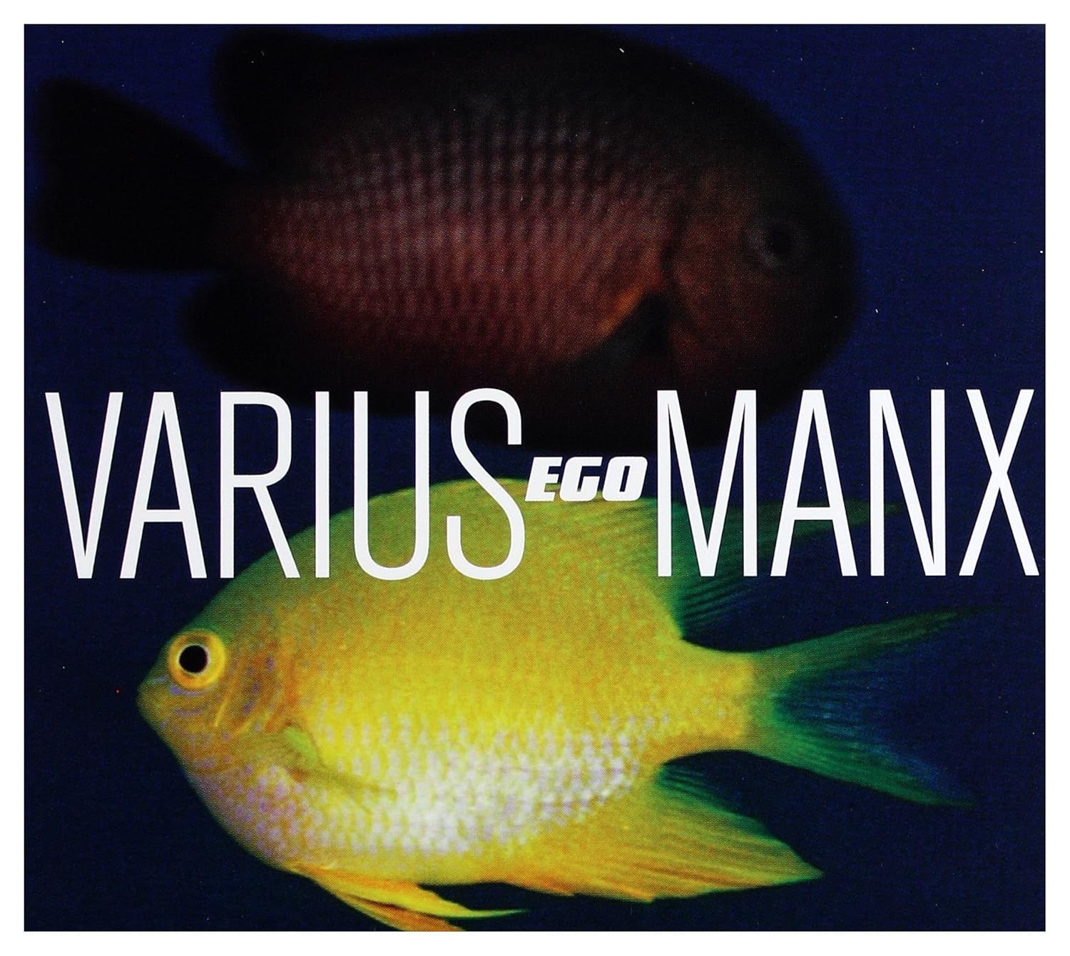 Varius Manx Ego [CD] Varius Manx Amazon.de MusikCDs & Vinyl