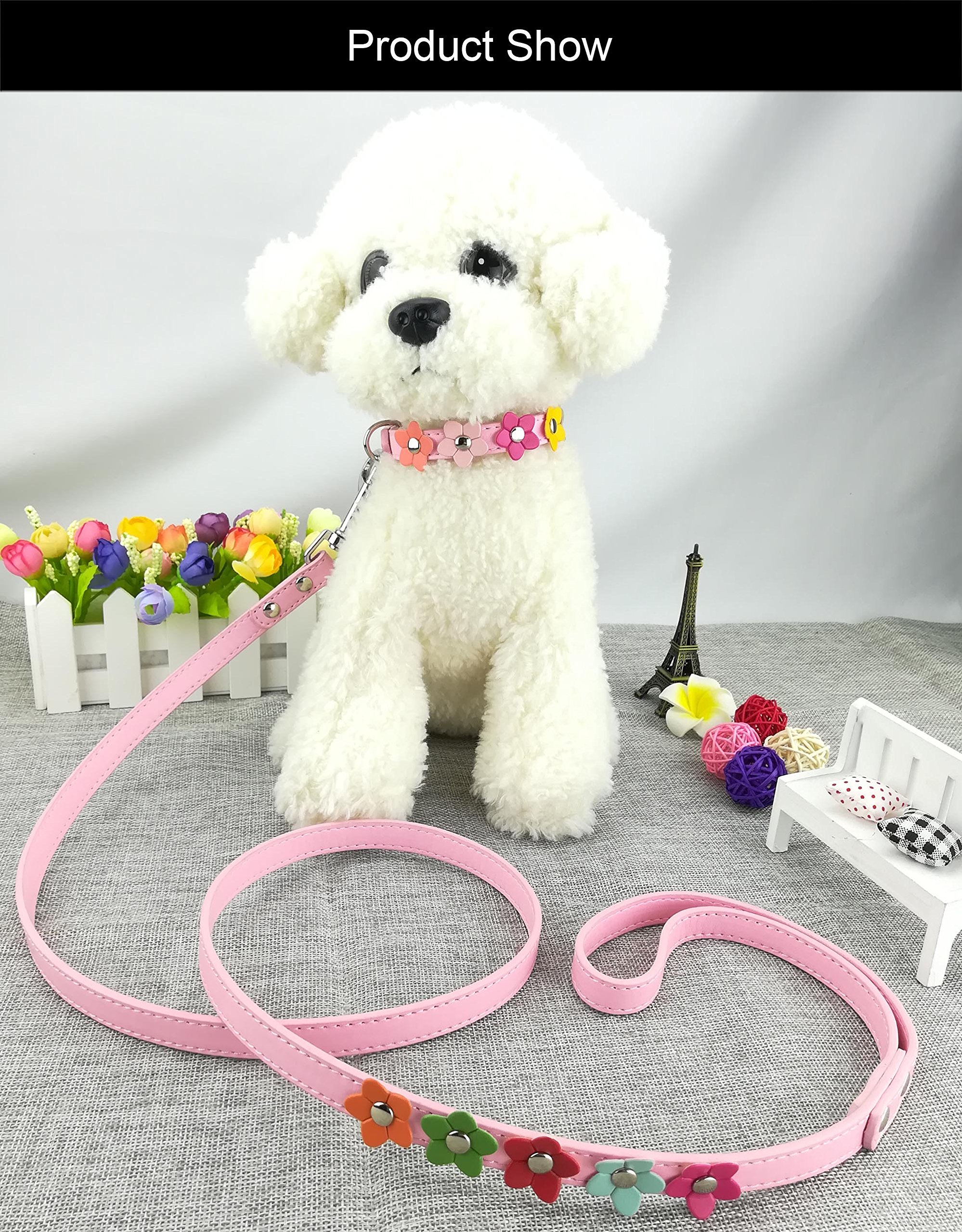 Newtensina 3-teiliges Hundeset – 2 Halsbänder Mit Strass & 1 Leine, Blumenmuster, Größe XS Für Kleine Hunde