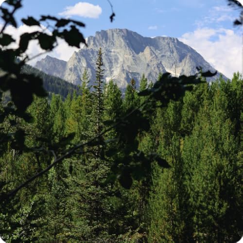 Jackson Hole Wyoming Travel Guide