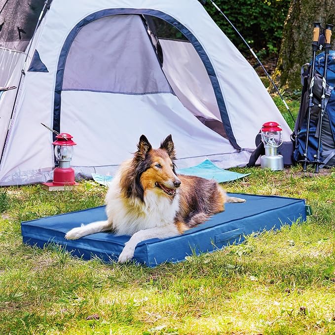 Cama Colchoneta Grande para Perro Resistente al Agua y Rayaduras miniatura 9