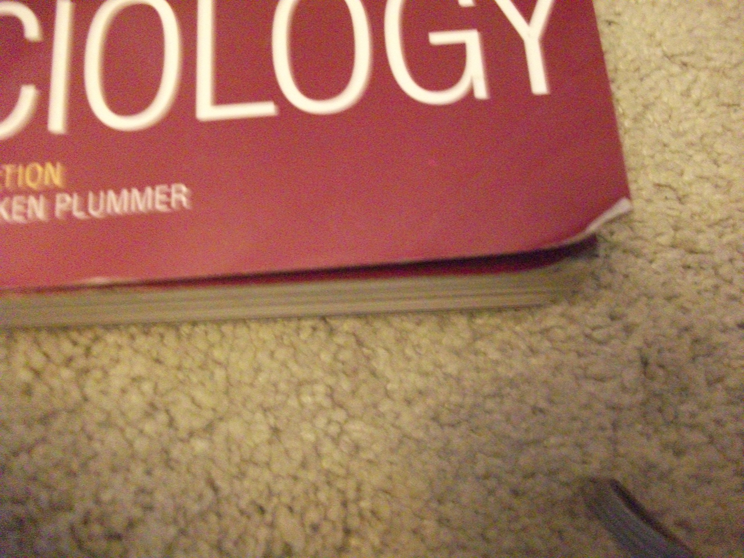 Sociology: A Global Introduction